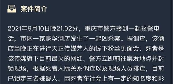 瓦希诺德维寺坠崖案（犯罪大师在游戏中留下的谜团、警方终于破案）