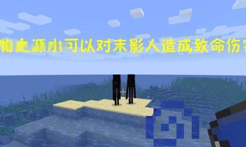 探秘烈焰人的习性与打法技巧（了解烈焰人的特点）
