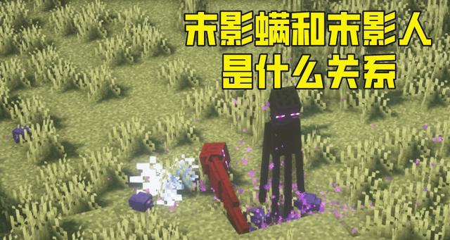 我的世界末影珍珠的全面使用攻略（揭秘末影珍珠的使用技巧）