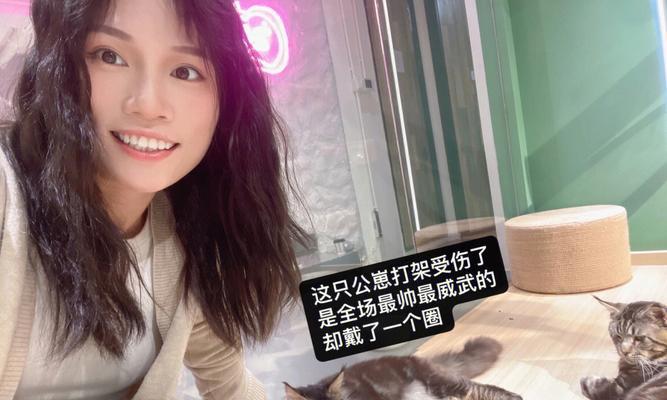 开心猫舍旅行照片怎么拿？各地S照片获取指南是什么？