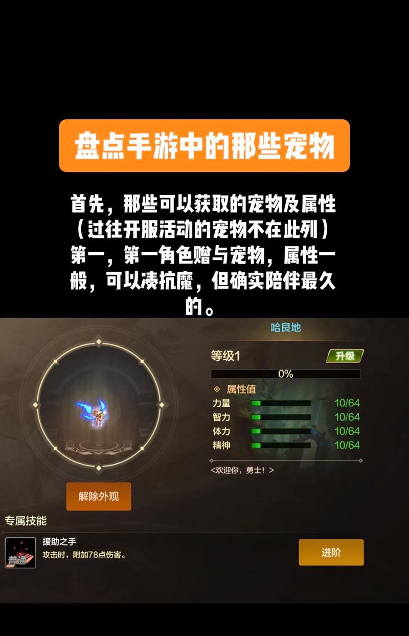 dnf魔道选择宠物的标准是什么？